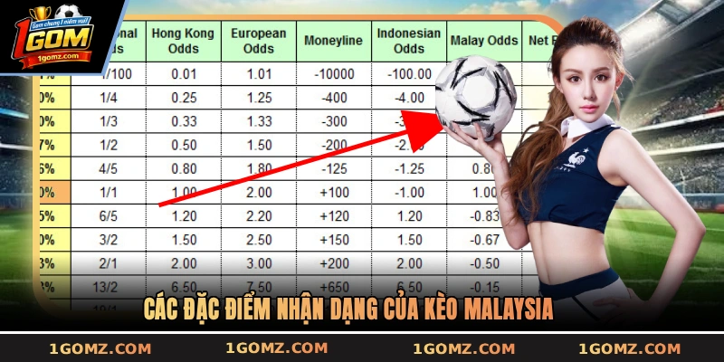 Các đặc điểm nhận dạng của kèo Malaysia