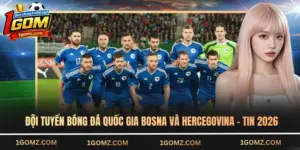 đội tuyển bóng đá quốc gia Bosna và Hercegovina